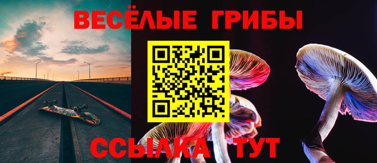 Псилоцибиновые грибы прущие грибы Каменск-Шахтинский